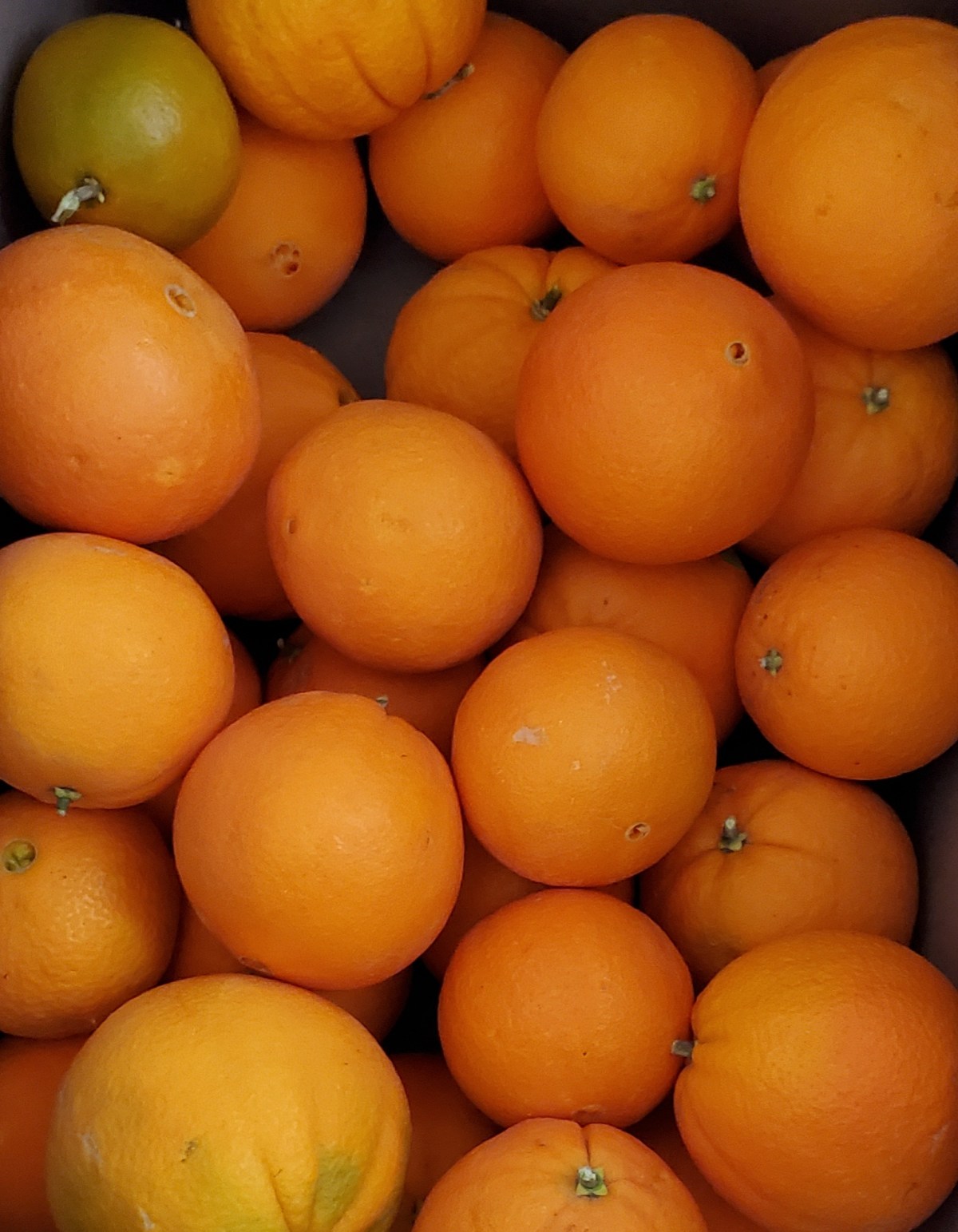 The little things in&nbsp;life…