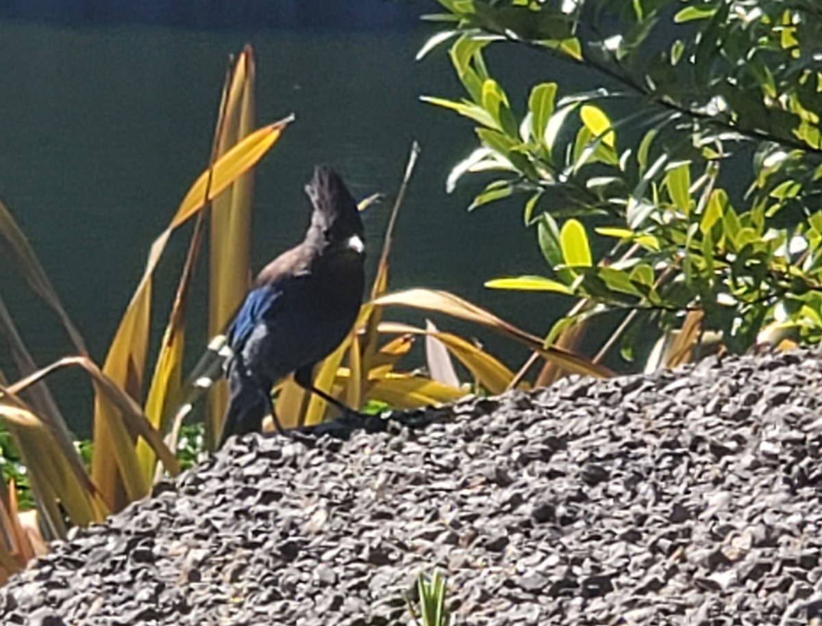 Road Trip! Oregon&nbsp;Coast