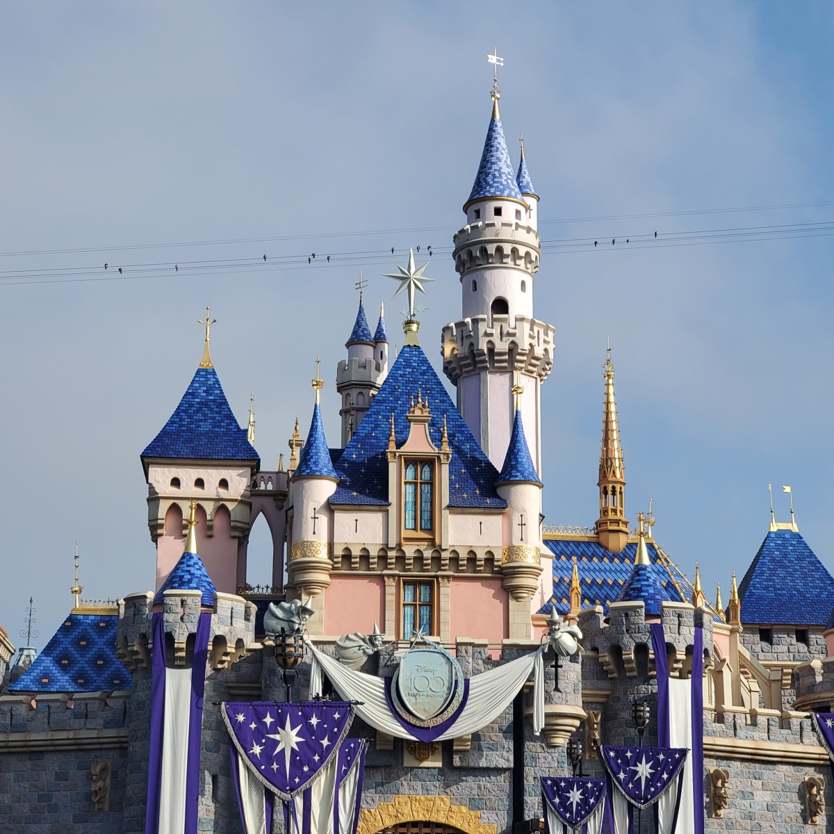 Here, there and everywhere…a quick&nbsp;catch-up