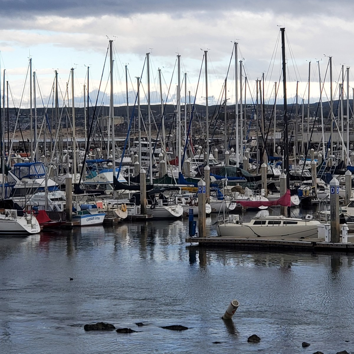 Road Trip: Monterey,&nbsp;&nbsp;CA