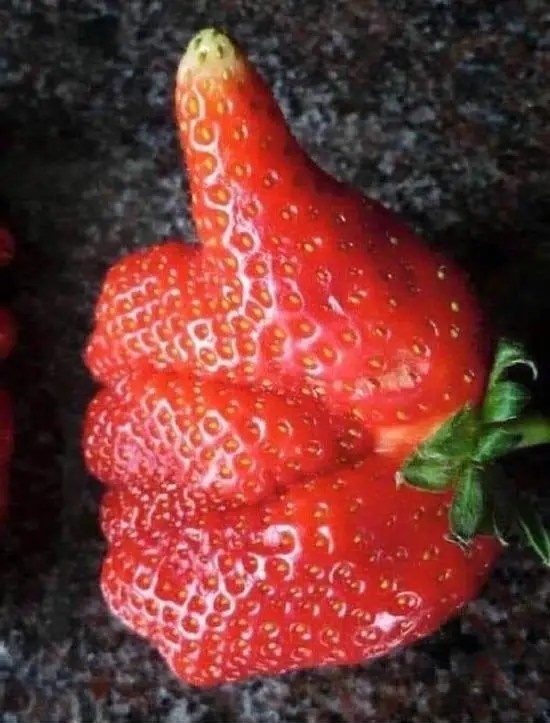 Flashback Friday! Springing Forward&nbsp;edition.