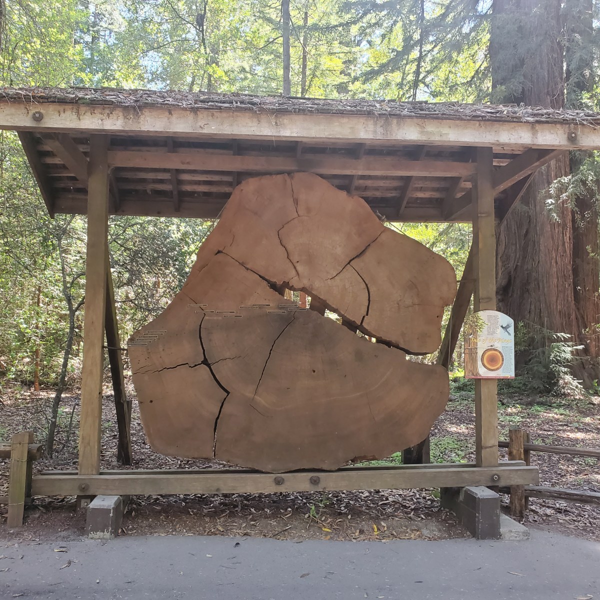 A Successful Backup&nbsp;Plan!