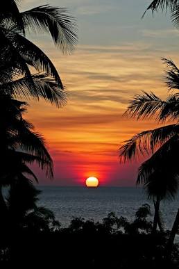 Thank You, Goodnight…