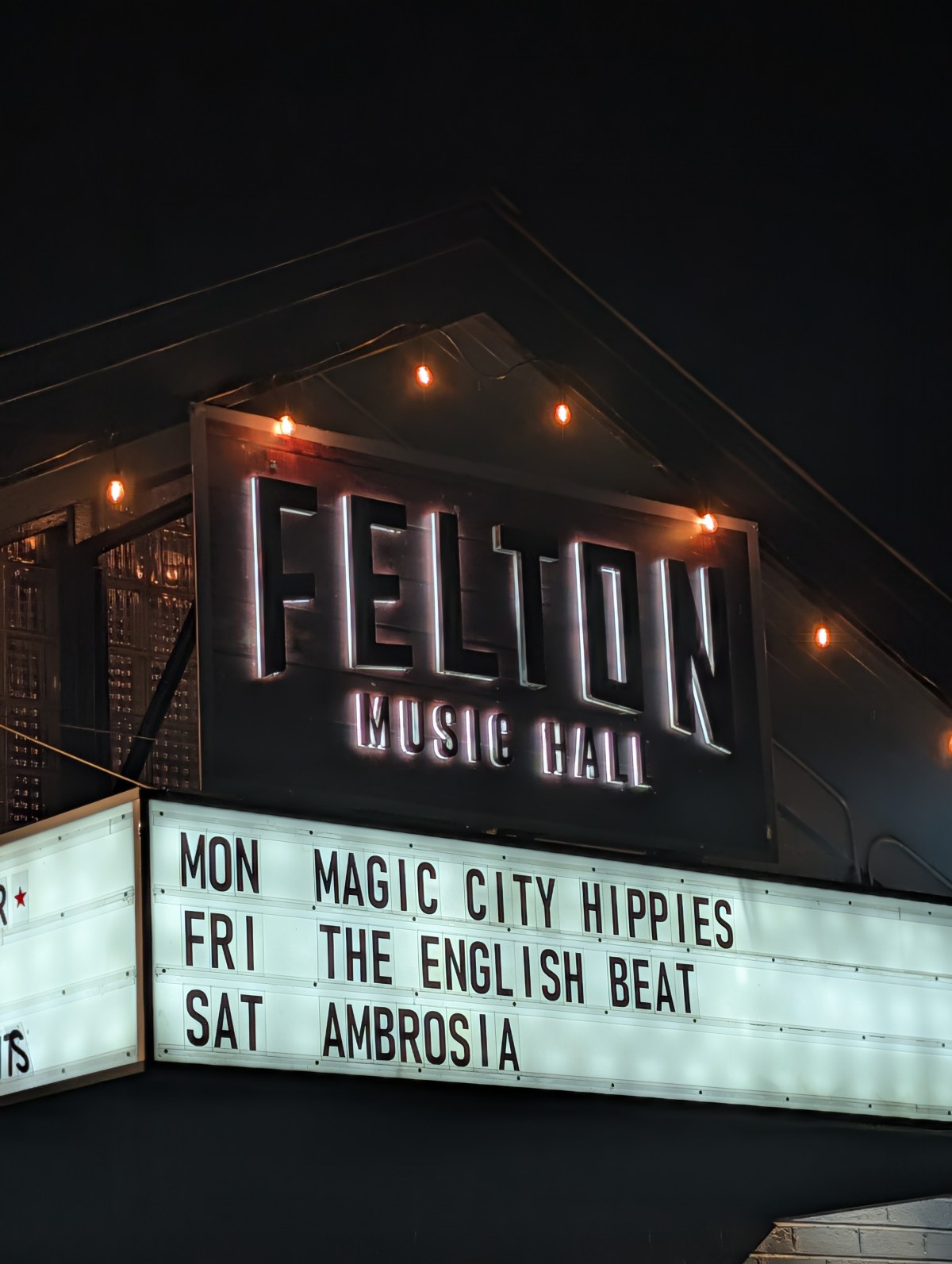 Concert Review: Magic City Hippies at Felton Music Hall, Felton,&nbsp;CA.