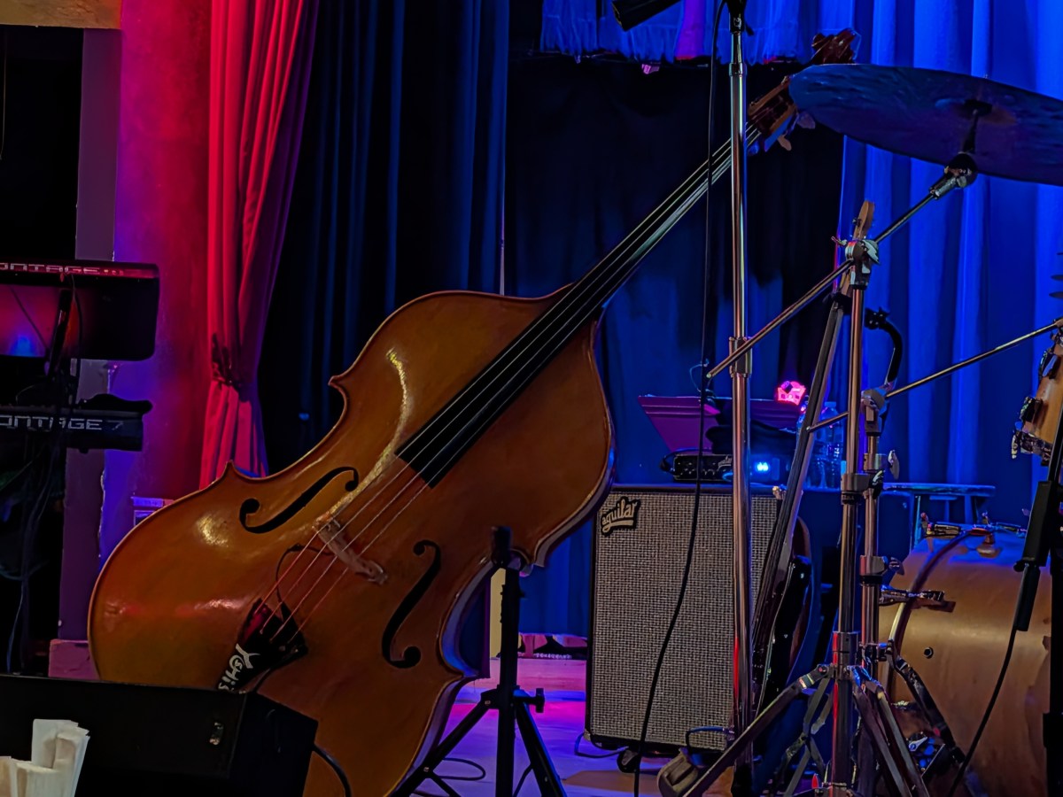 Concert Review: Aneesa Strings at Yoshi’s, Oakland&nbsp;CA